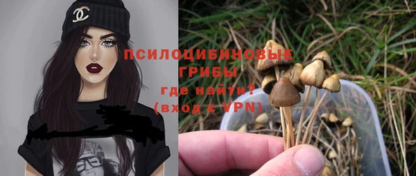 прущие крисы Горно-Алтайск