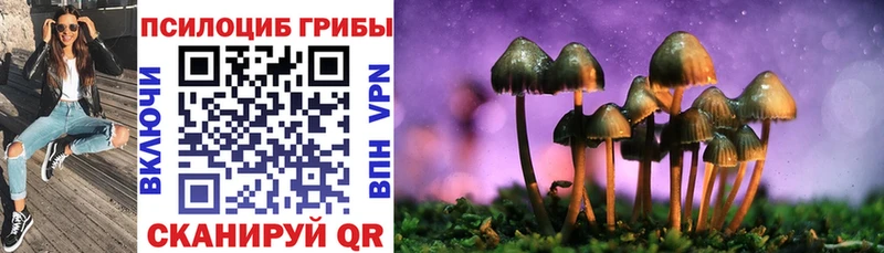 сколько стоит  Железногорск  Галлюциногенные грибы Magic Shrooms 